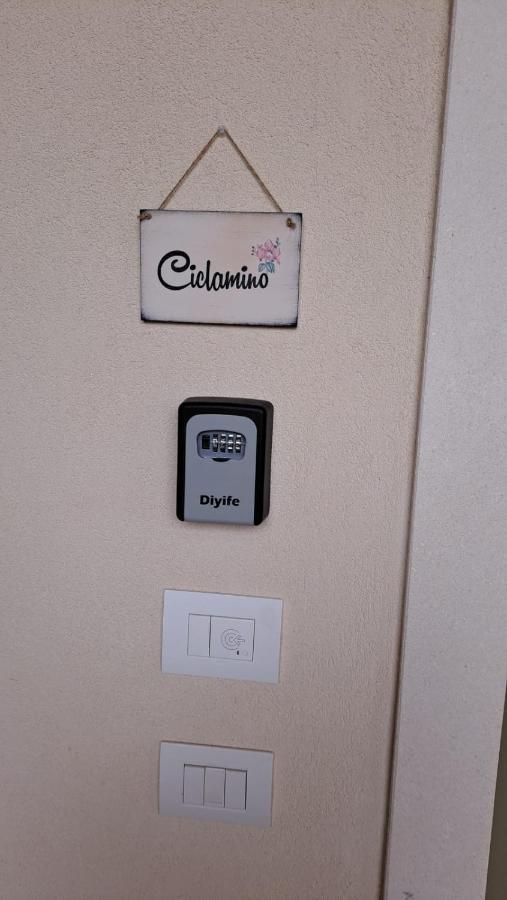 ויצ'נצה Ca Mia Ciclamino & Genziana Apartments מראה חיצוני תמונה