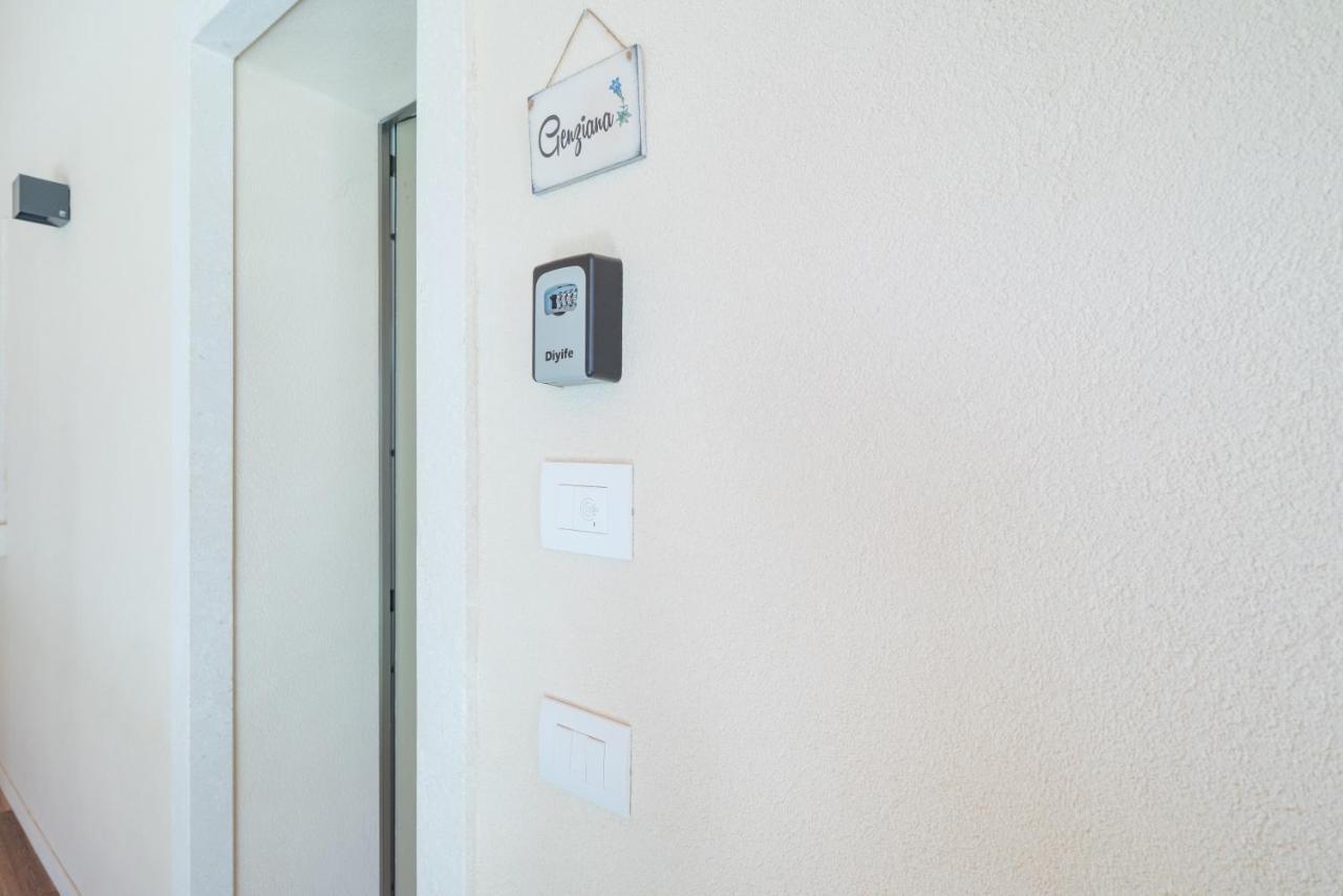 ויצ'נצה Ca Mia Ciclamino & Genziana Apartments מראה חיצוני תמונה